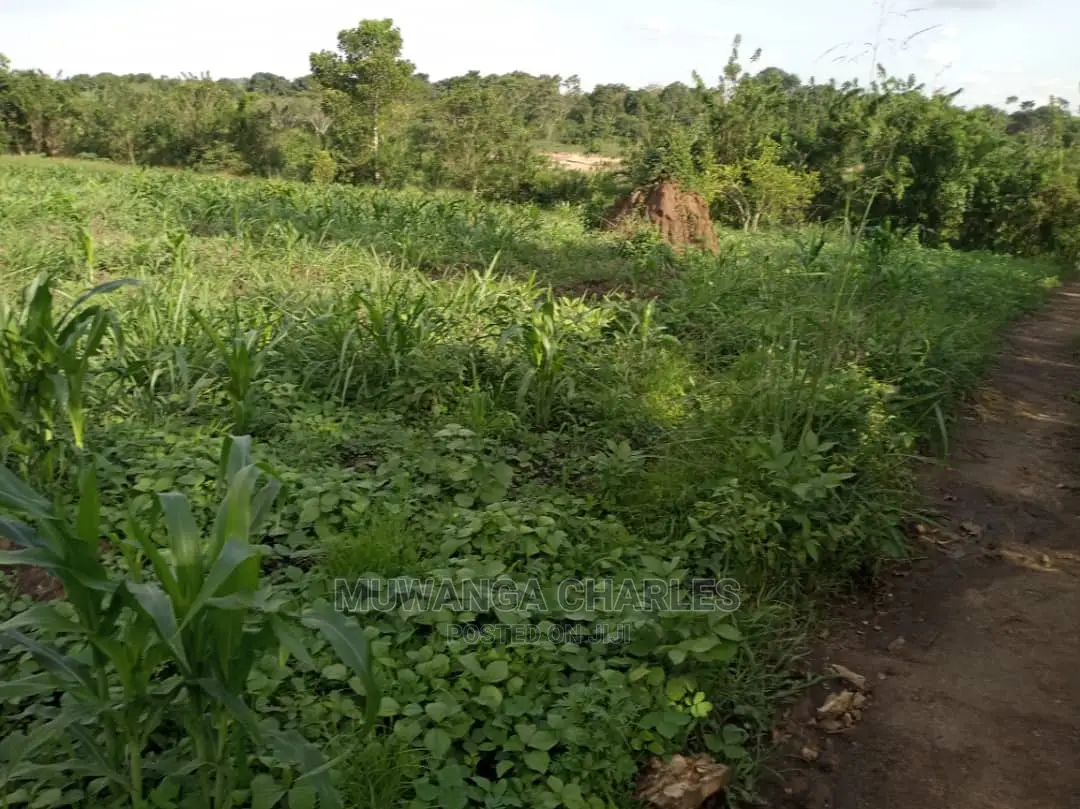 10acres of Land for Sale at Zirobwe Kikyusa