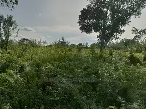 10acres of Land for Sale at Zirobwe Kikyusa