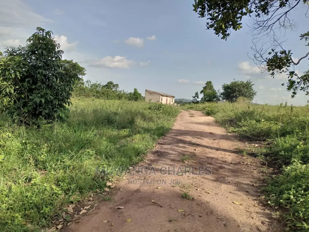10acres of Land for Sale at Zirobwe Kikyusa