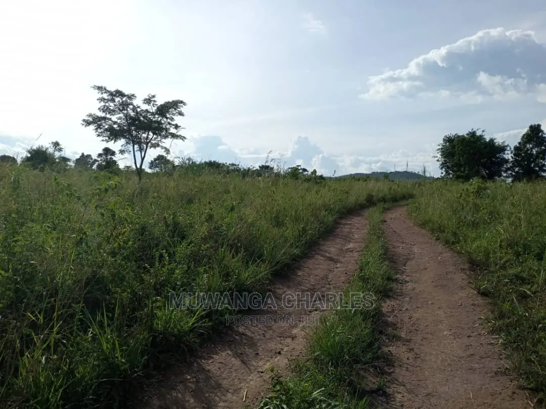 10acres of Land for Sale at Zirobwe Kikyusa