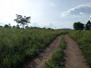10acres of Land for Sale at Zirobwe Kikyusa