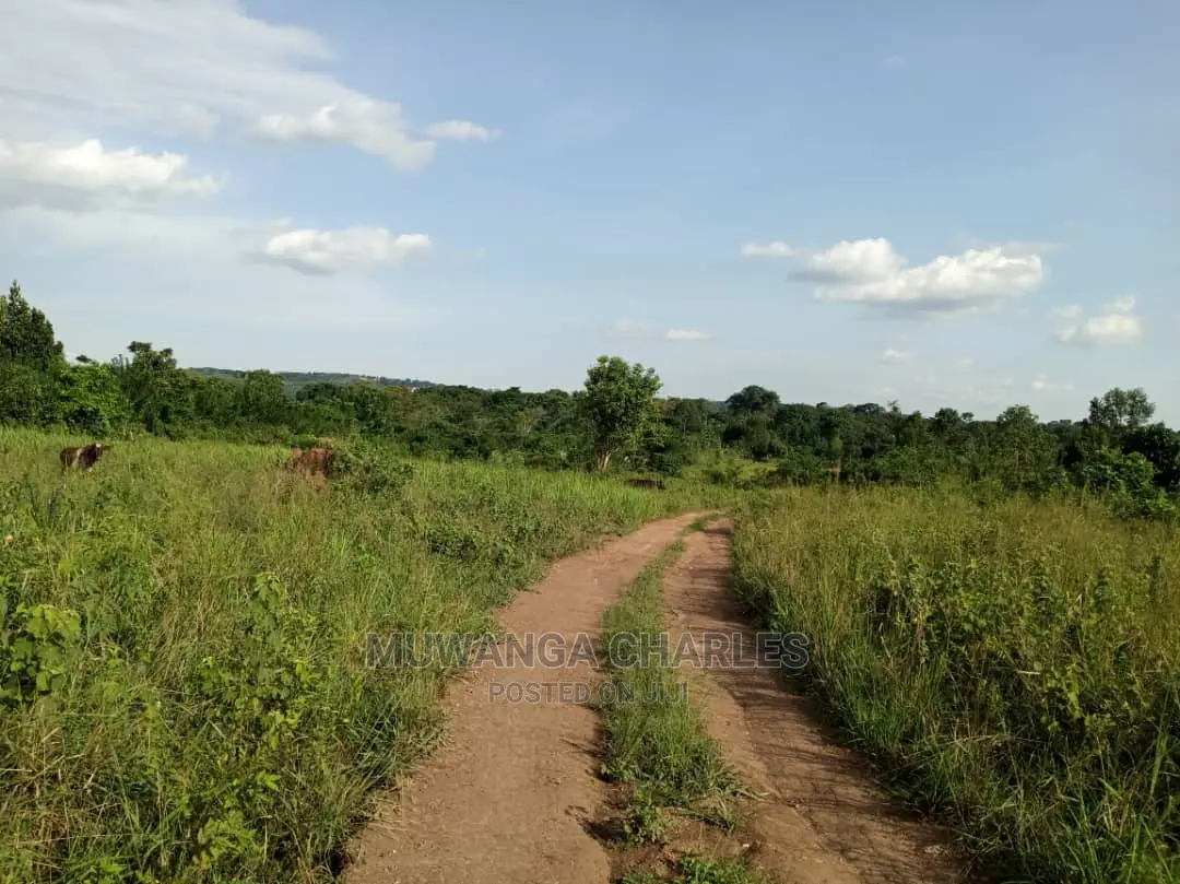10acres of Land for Sale at Zirobwe Kikyusa