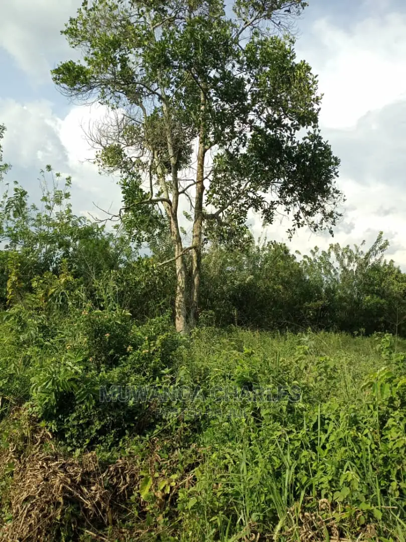 10acres of Land for Sale at Zirobwe Kikyusa
