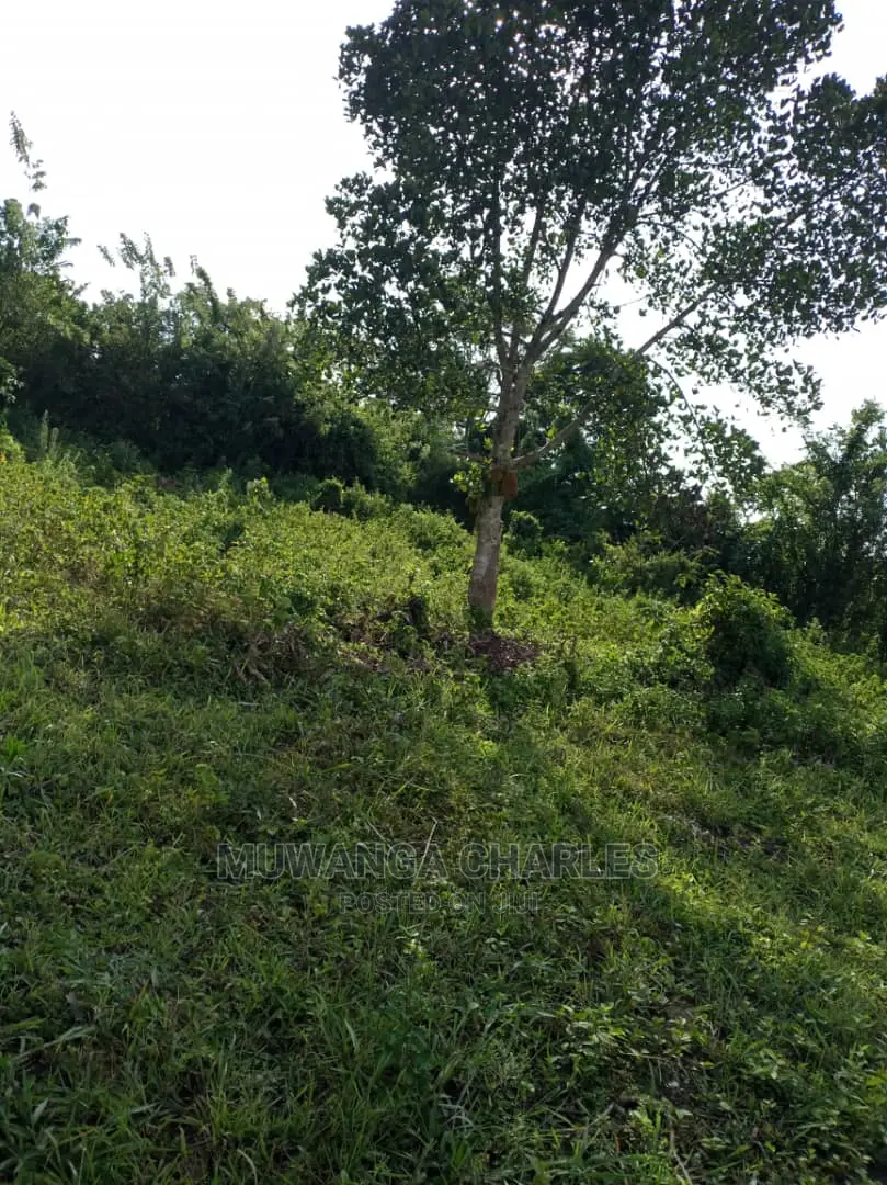 10acres of Land for Sale at Zirobwe Kikyusa