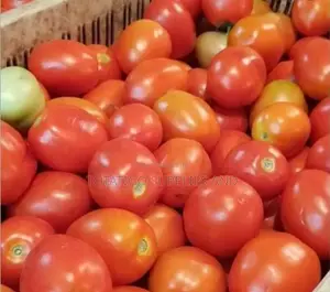 Photo - Ugandan Fresh Tomatoes