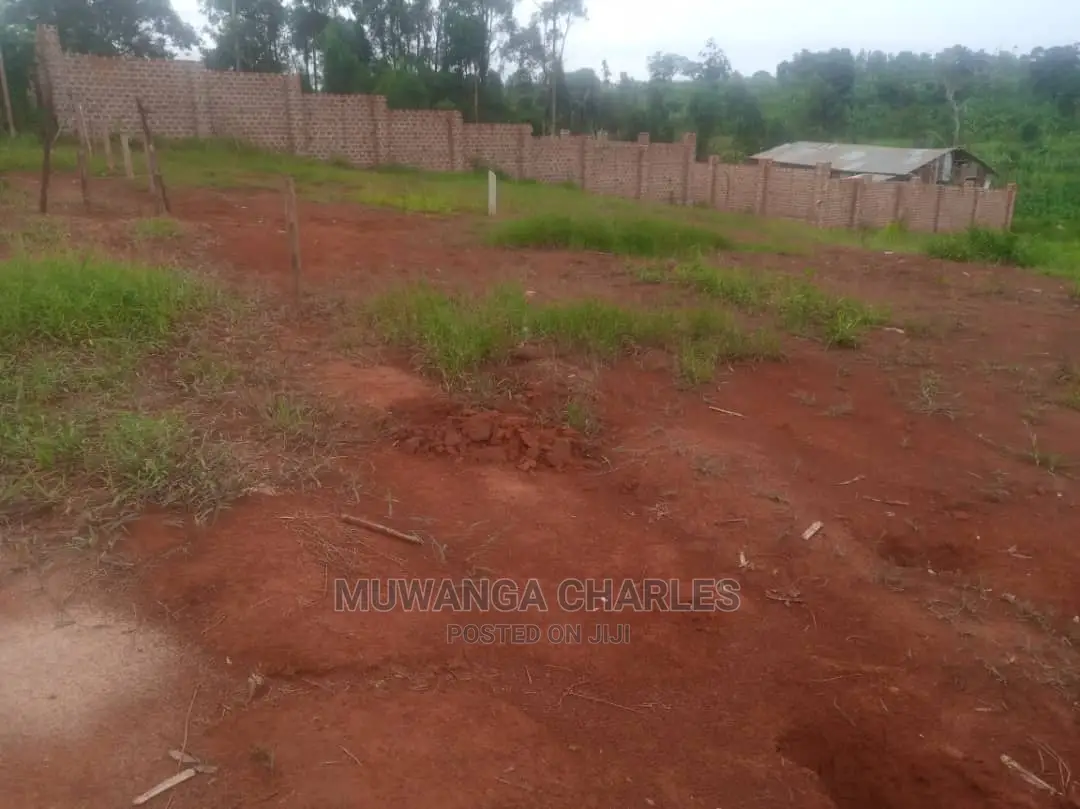 11.5decimals Plot of Land for Sale at Mattuga