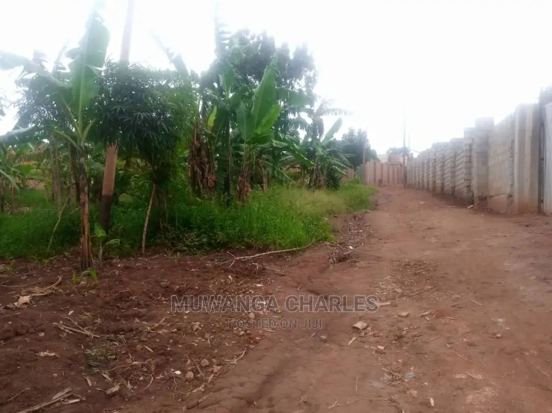 11.5decimals Plot of Land for Sale at Mattuga