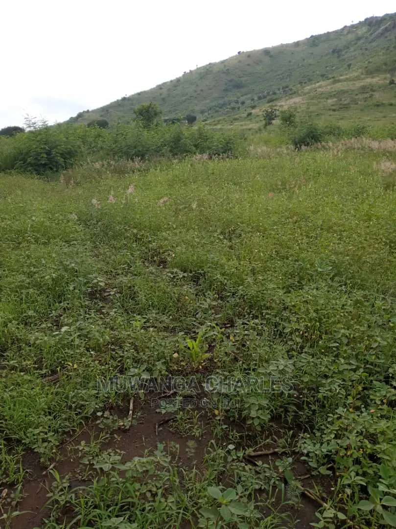 25acres of Land for Sale at Nakasongola Kamira