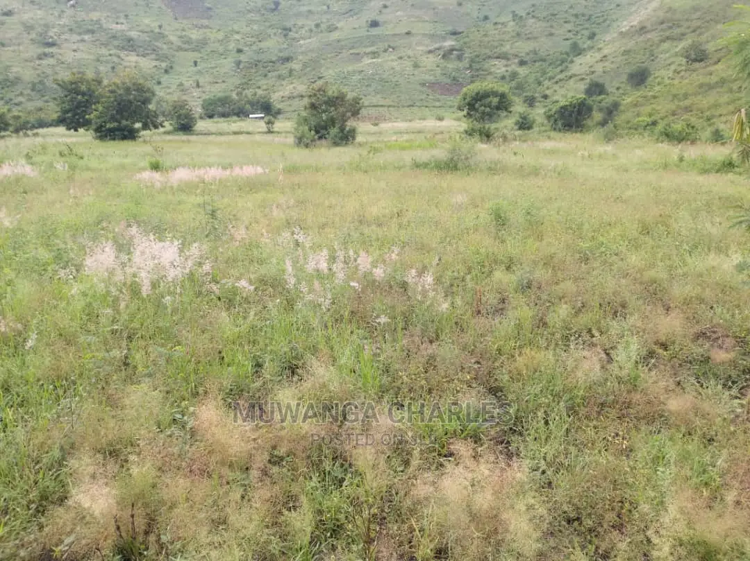 25acres of Land for Sale at Nakasongola Kamira