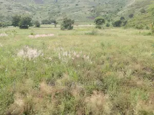 25acres of Land for Sale at Nakasongola Kamira