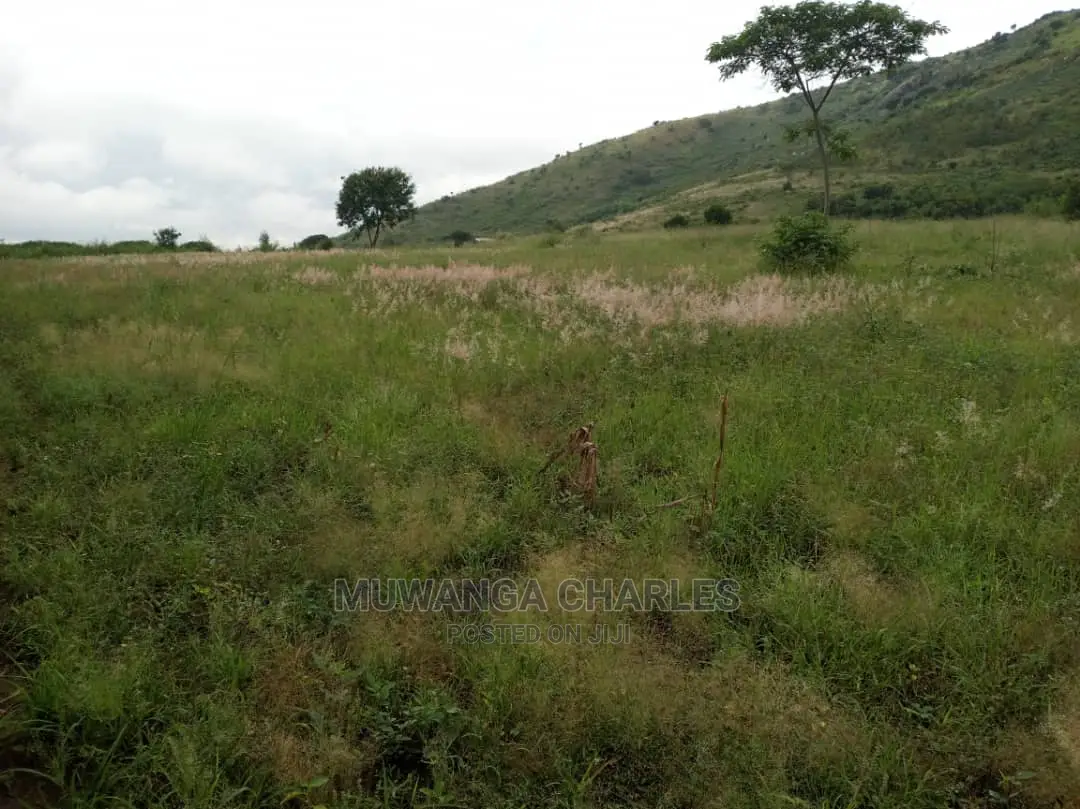 25acres of Land for Sale at Nakasongola Kamira