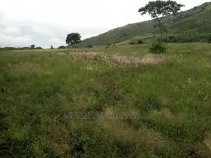 25acres of Land for Sale at Nakasongola Kamira