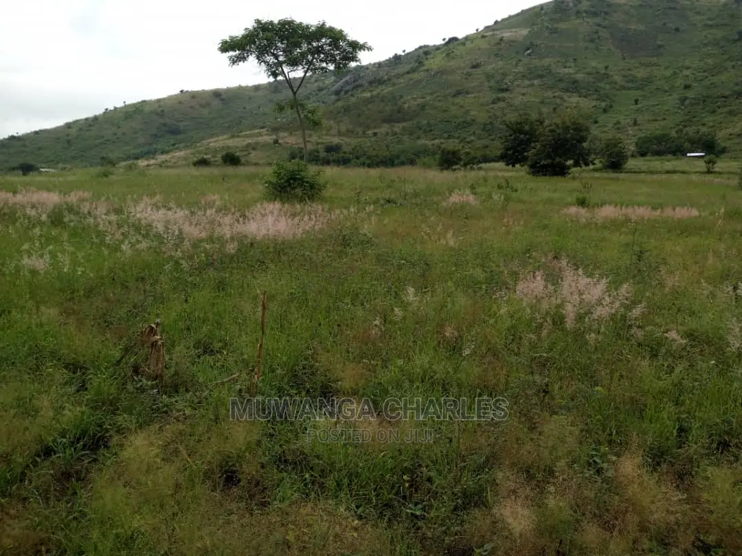 25acres of Land for Sale at Nakasongola Kamira