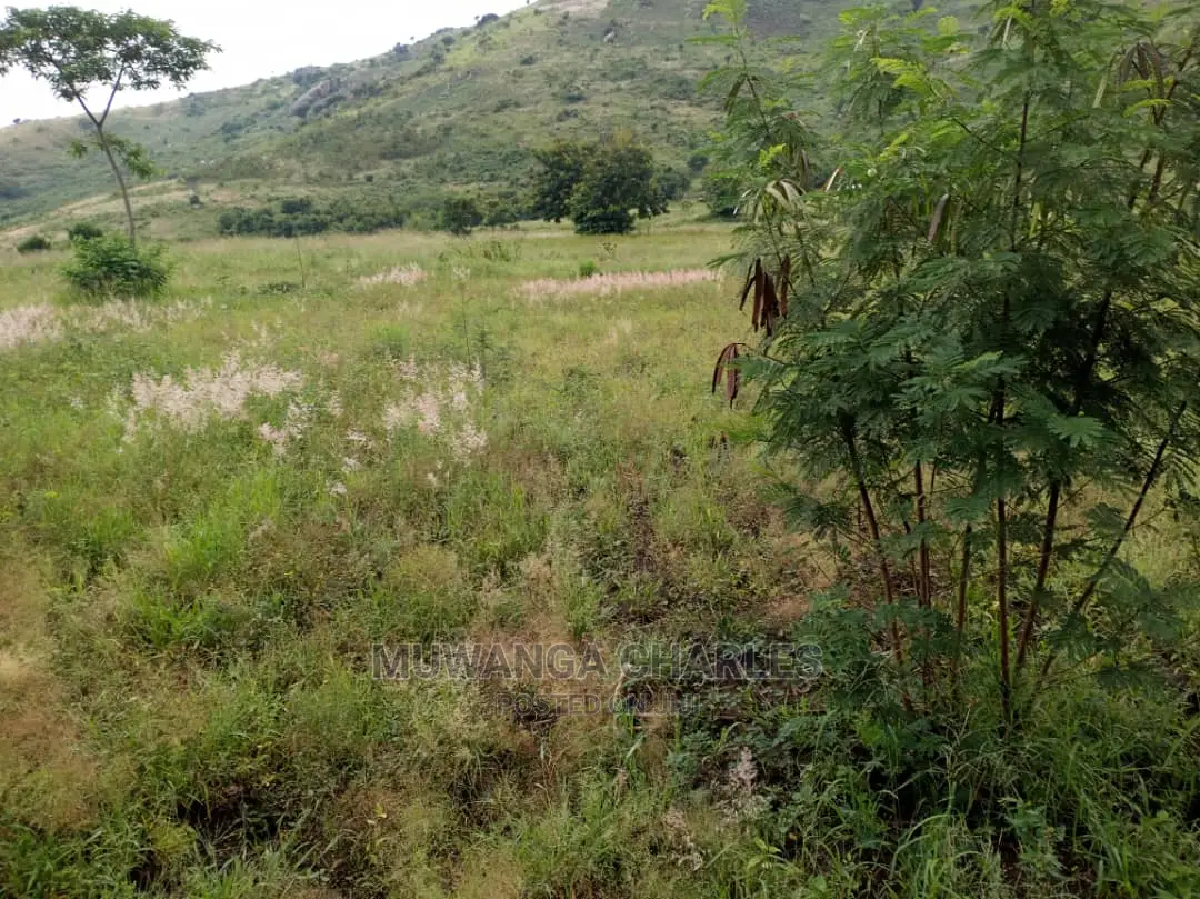 25acres of Land for Sale at Nakasongola Kamira
