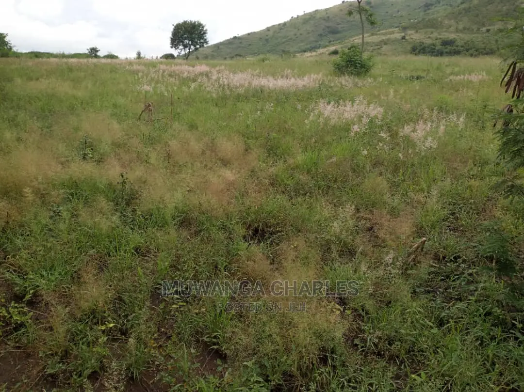 25acres of Land for Sale at Nakasongola Kamira