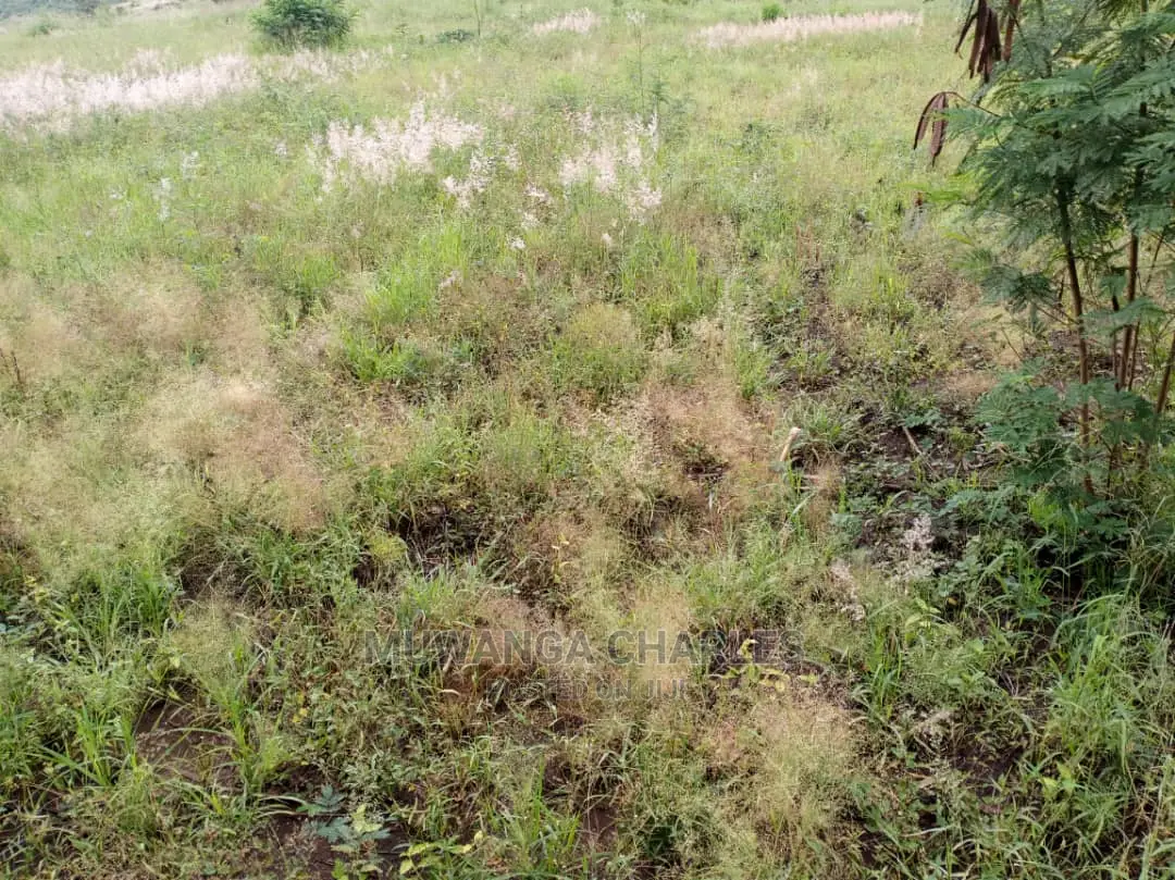 25acres of Land for Sale at Nakasongola Kamira