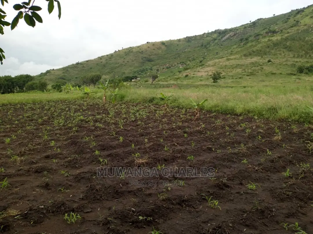 25acres of Land for Sale at Nakasongola Kamira