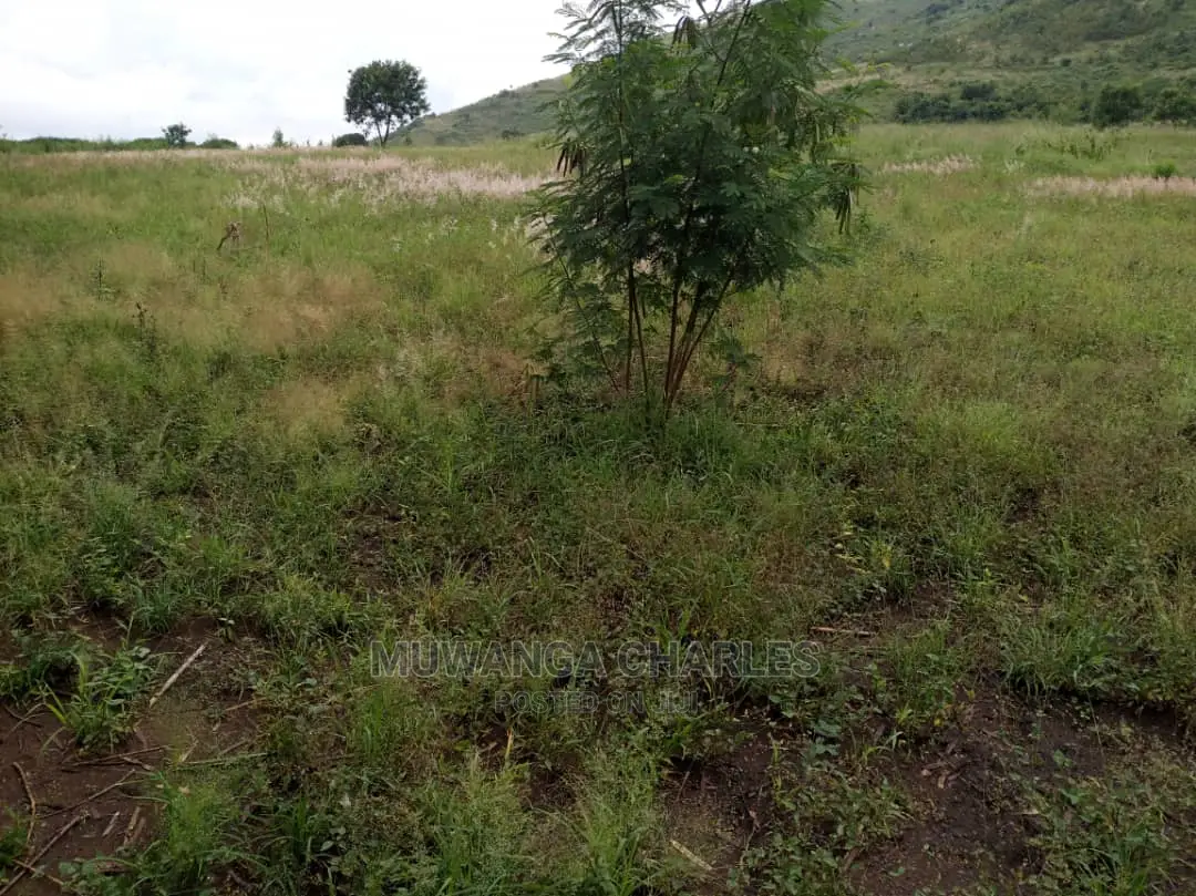 25acres of Land for Sale at Nakasongola Kamira