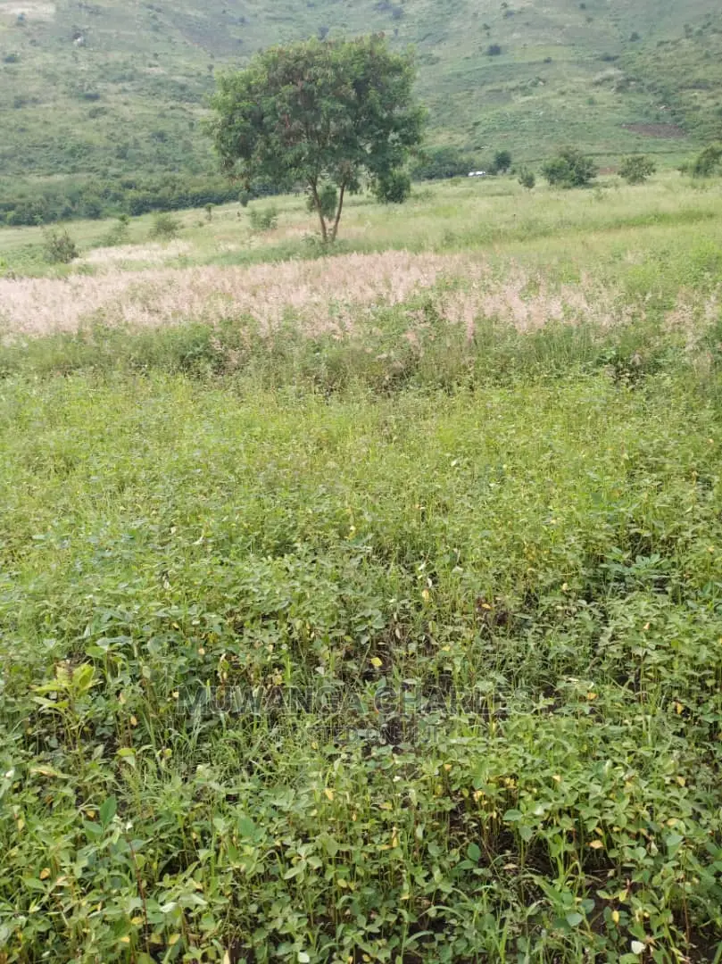 25acres of Land for Sale at Nakasongola Kamira