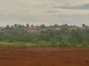 12decimals Plot of Land for Sale at Buwate