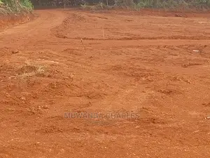 12decimals Plot of Land for Sale at Buwate