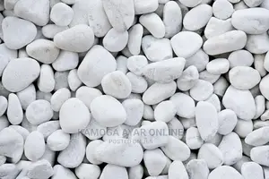 Painted White Stones/Pebbles