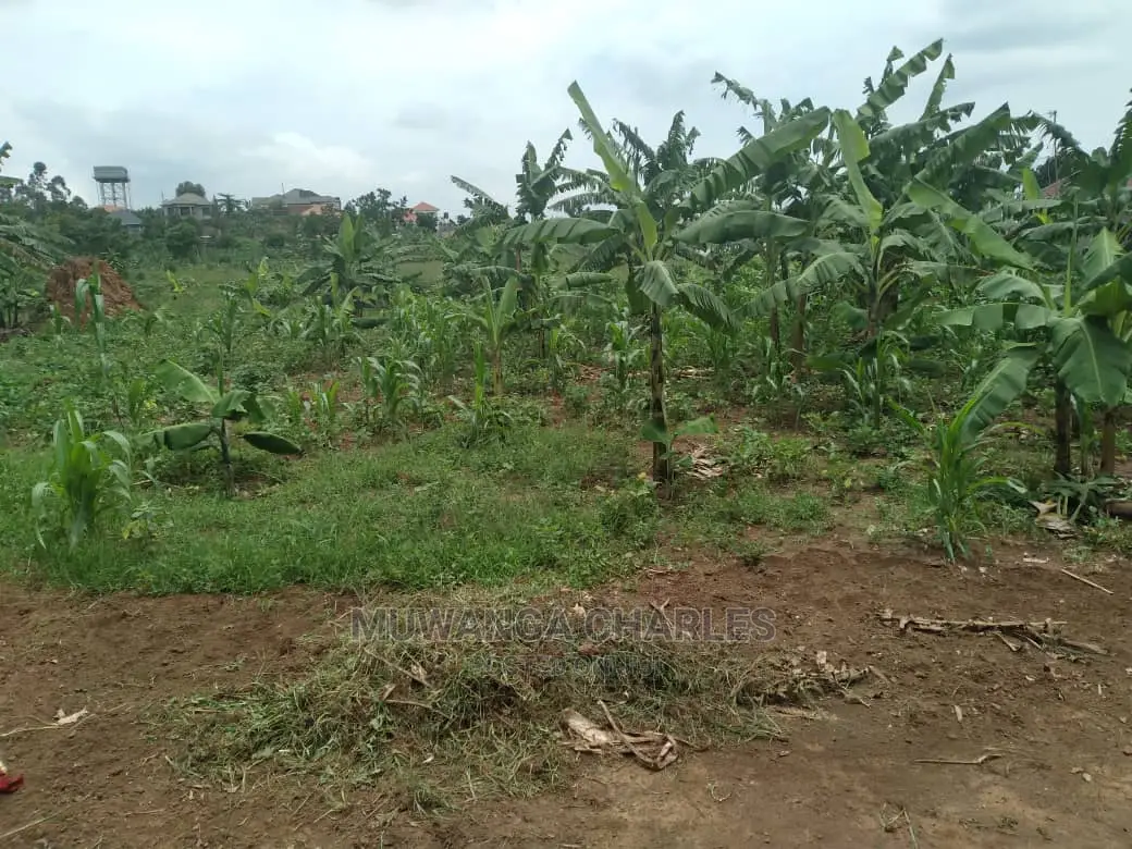 1acre of Land for Sale at Busika