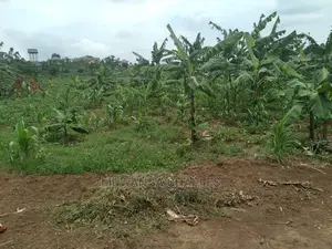 1acre of Land for Sale at Busika