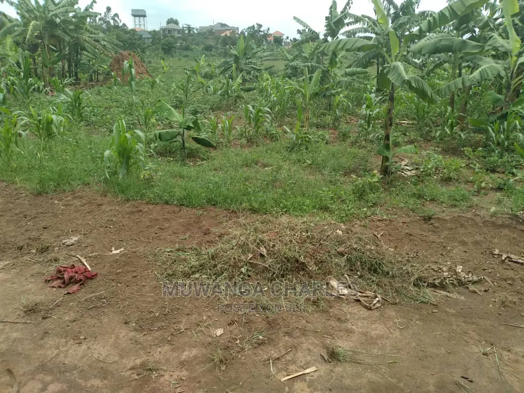 1acre of Land for Sale at Busika