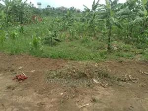 1acre of Land for Sale at Busika
