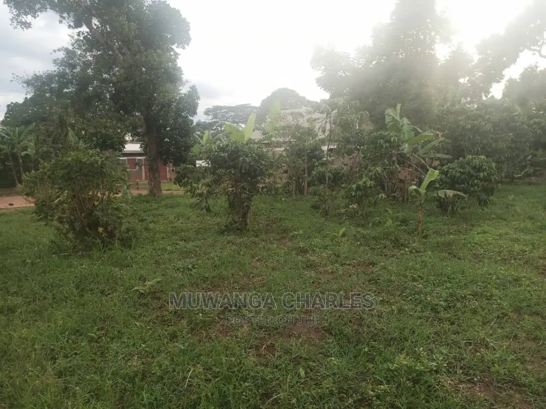 5acres of Land for Sale at Zirobwe