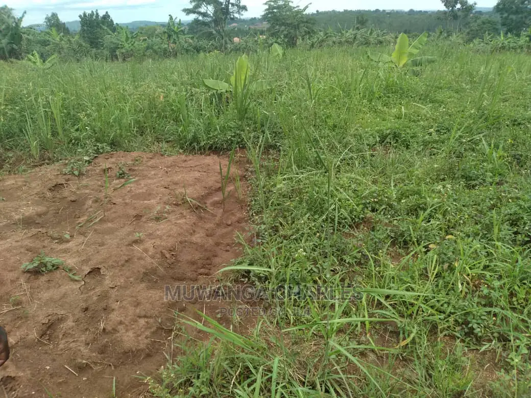 5acres of Land for Sale at Zirobwe