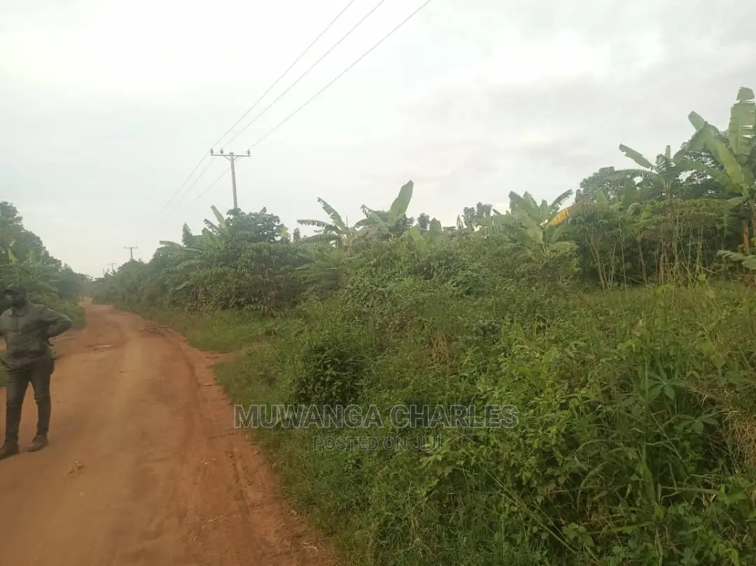 5acres of Land for Sale at Zirobwe