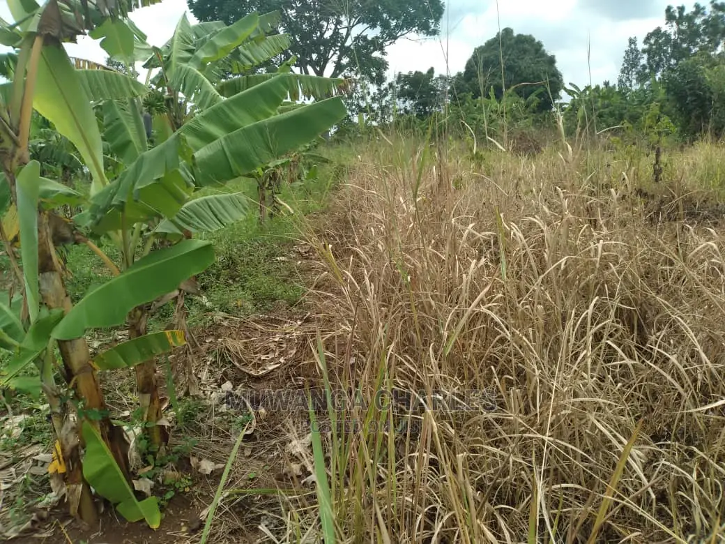 5acres of Land for Sale at Zirobwe