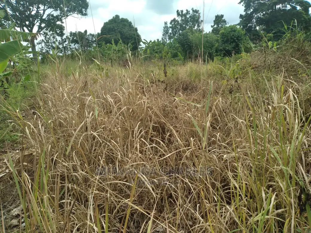 5acres of Land for Sale at Zirobwe