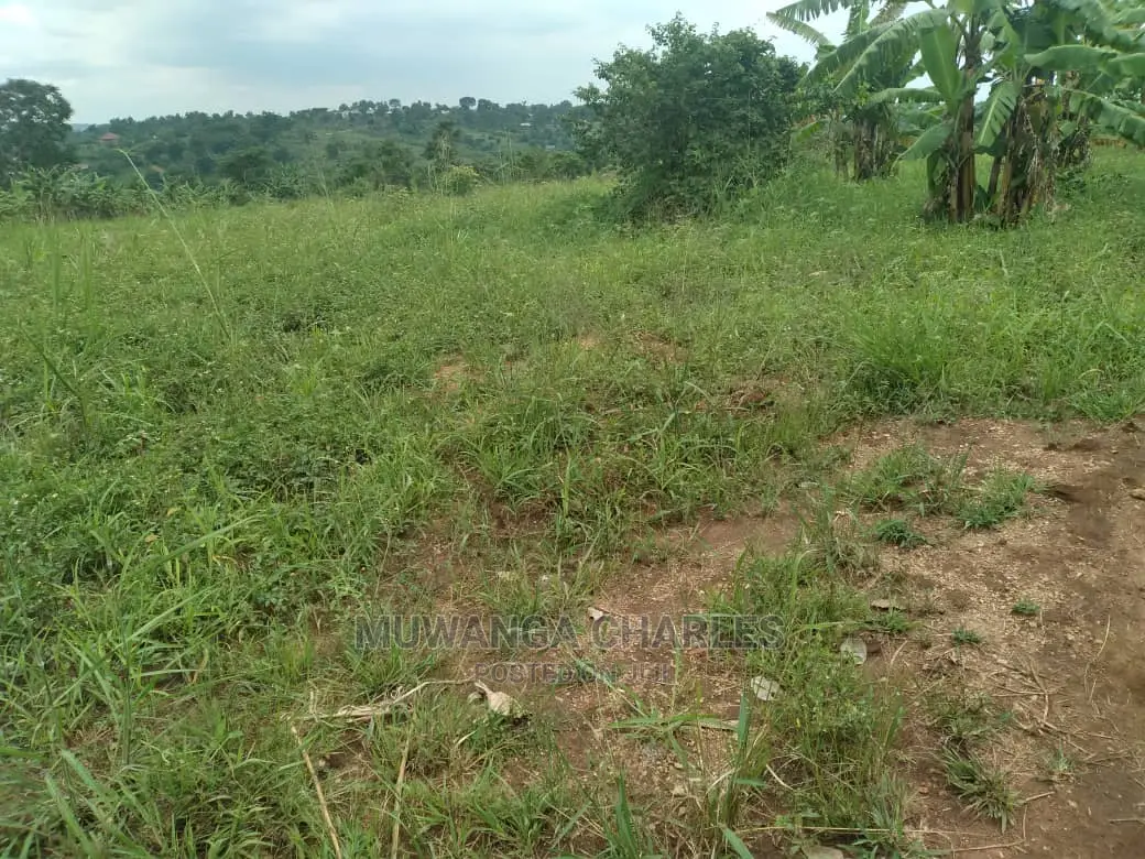 5acres of Land for Sale at Zirobwe