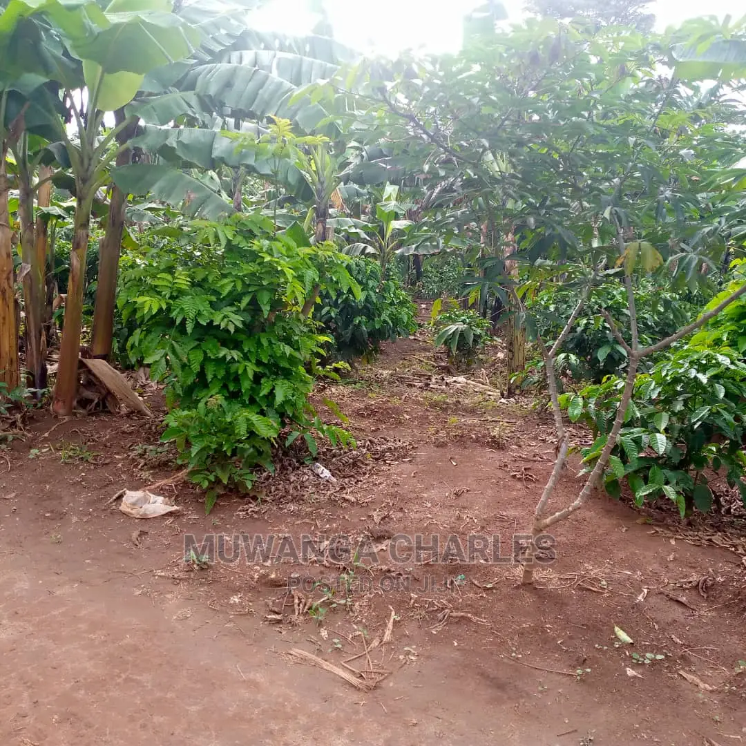 2.5acres of Land for Sale at Zirobwe Tongo