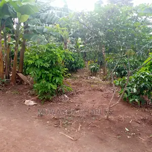 2.5acres of Land for Sale at Zirobwe Tongo