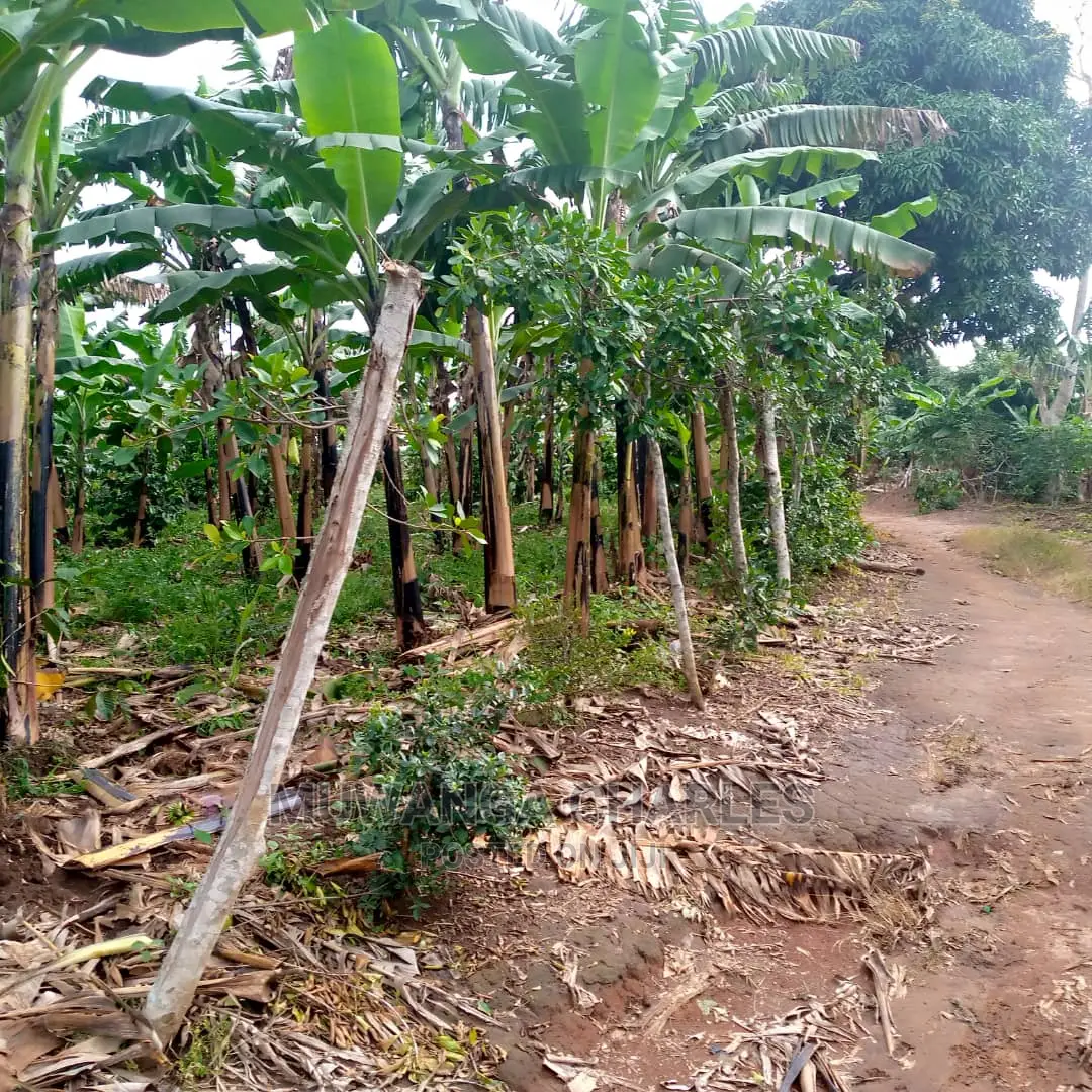 2.5acres of Land for Sale at Zirobwe Tongo