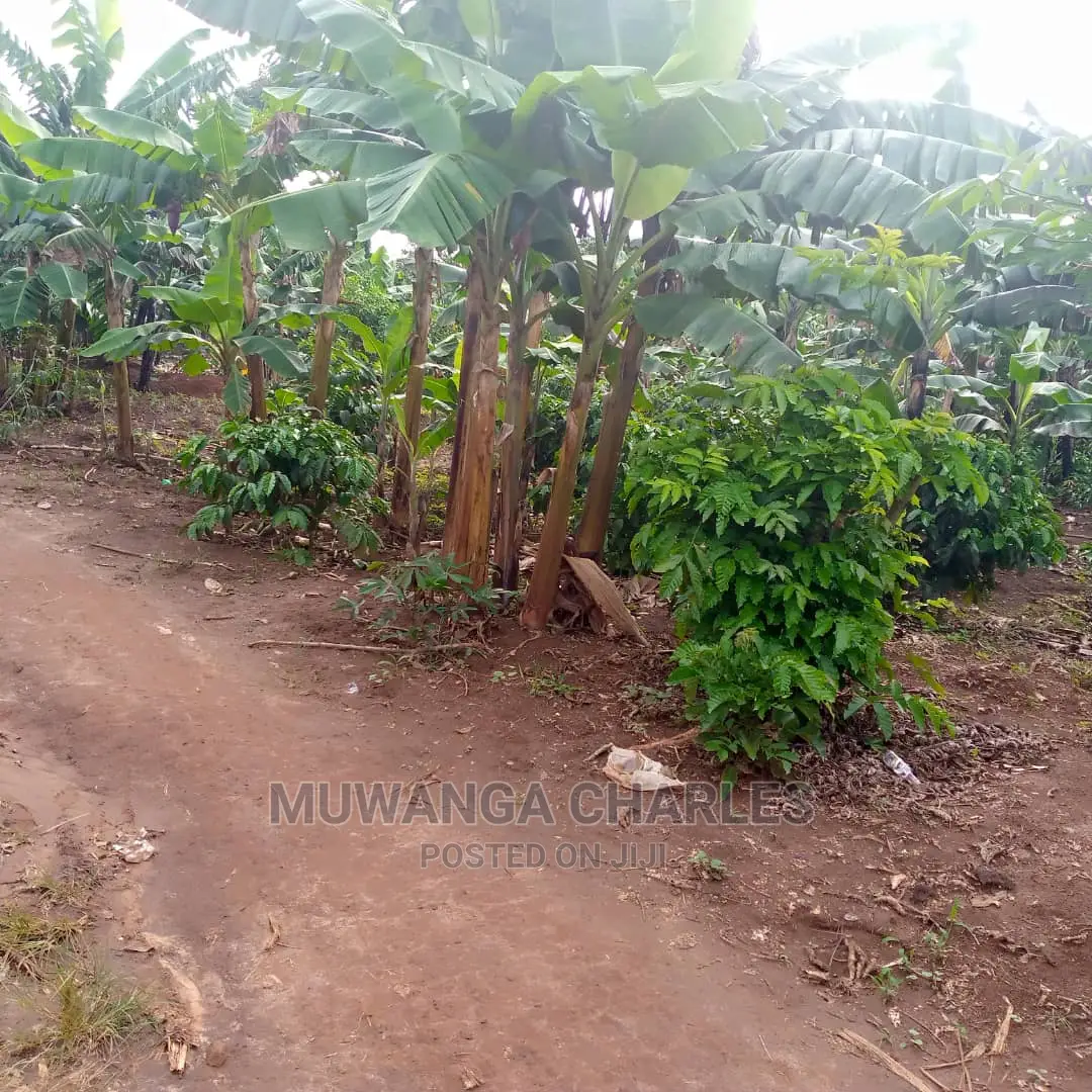 2.5acres of Land for Sale at Zirobwe Tongo