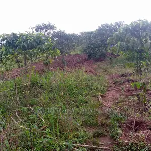 5acres of Land for Sale at Zirobwe Lunyolya