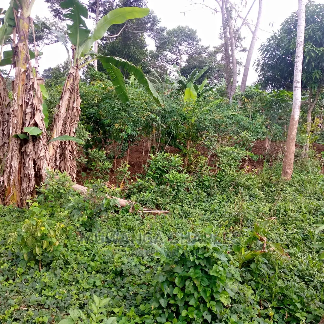 5acres of Land for Sale at Zirobwe Lunyolya