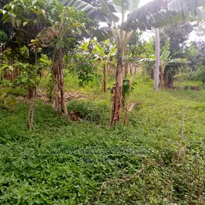 5acres of Land for Sale at Zirobwe Lunyolya