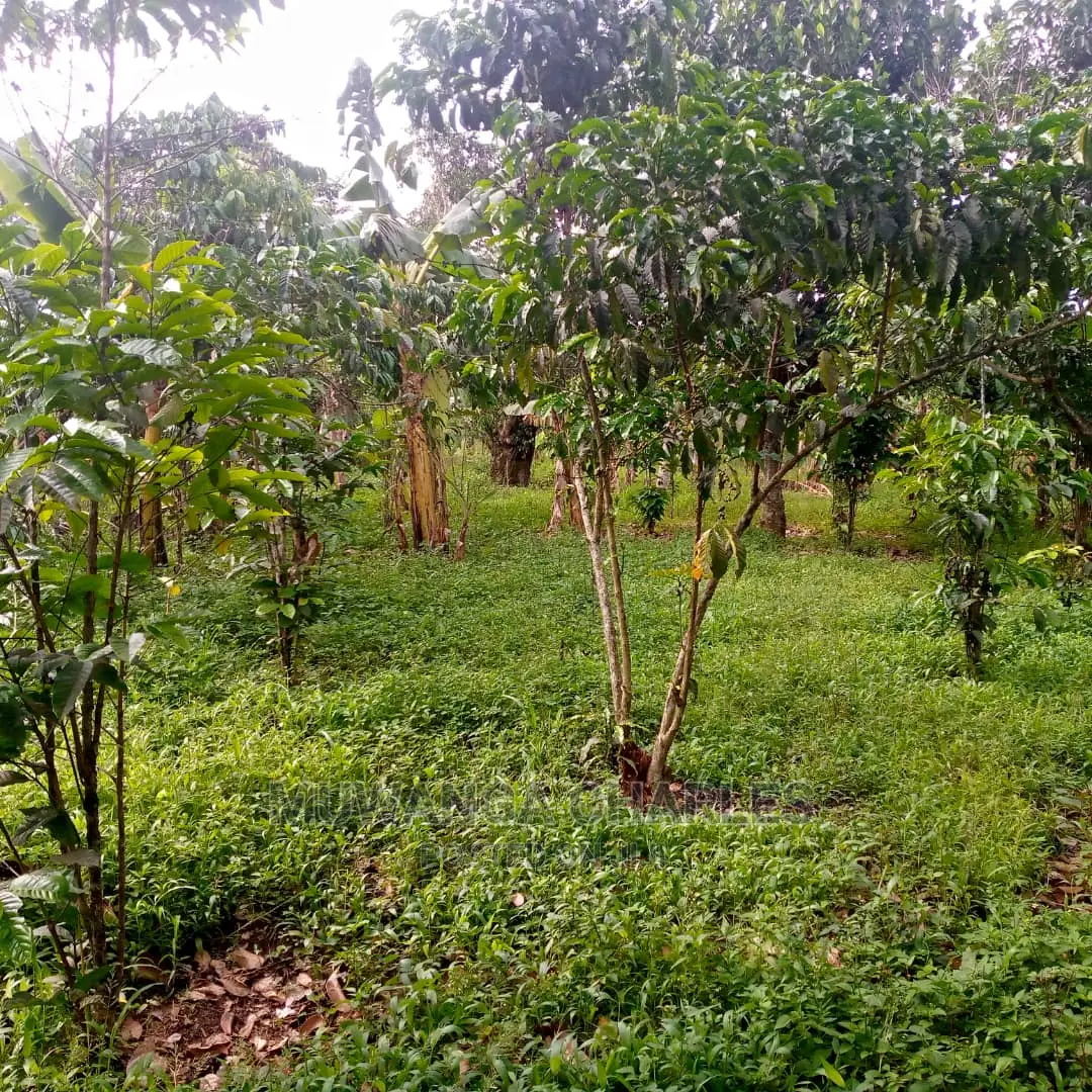5acres of Land for Sale at Zirobwe Lunyolya