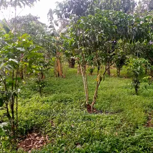 5acres of Land for Sale at Zirobwe Lunyolya