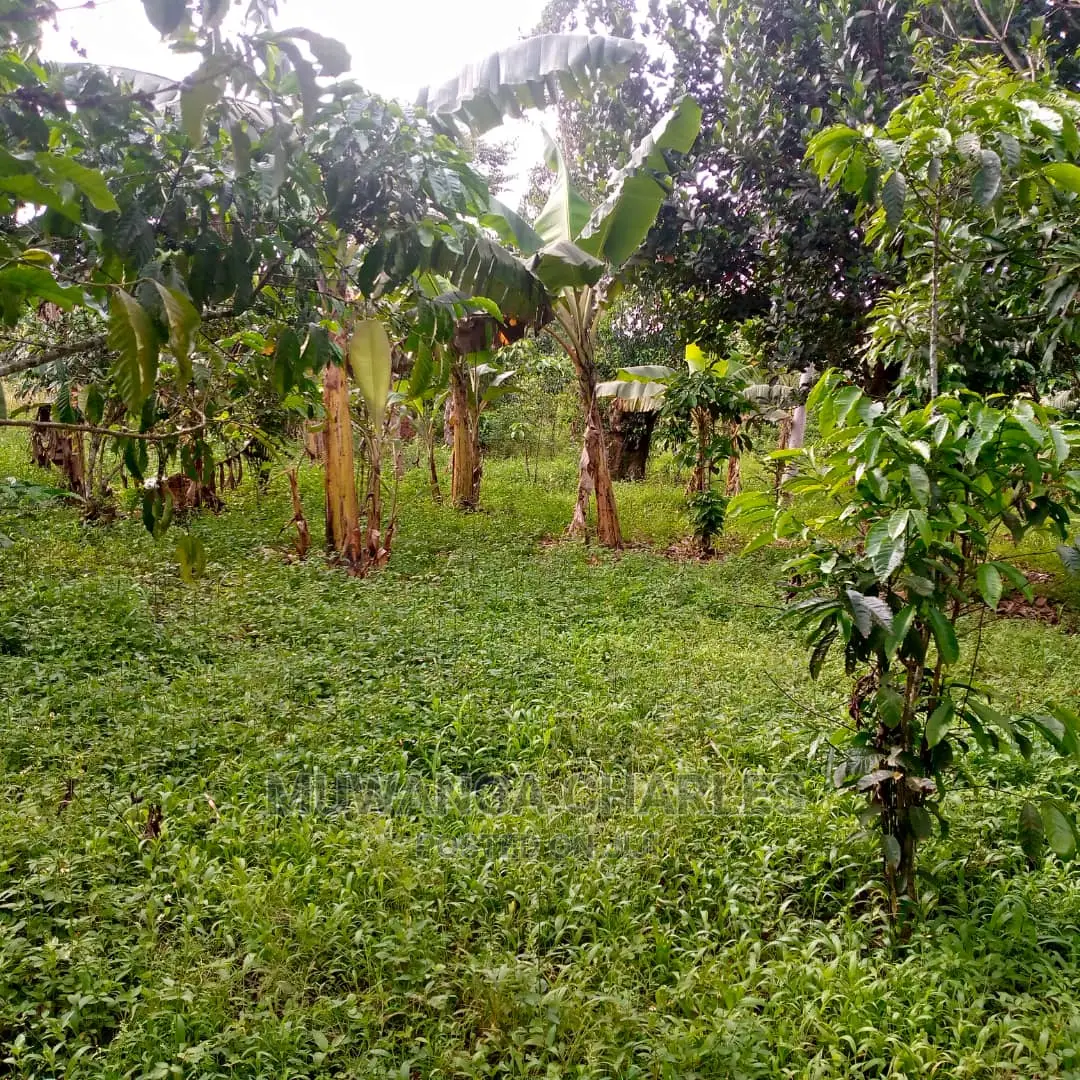 5acres of Land for Sale at Zirobwe Lunyolya