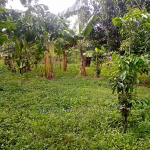 5acres of Land for Sale at Zirobwe Lunyolya
