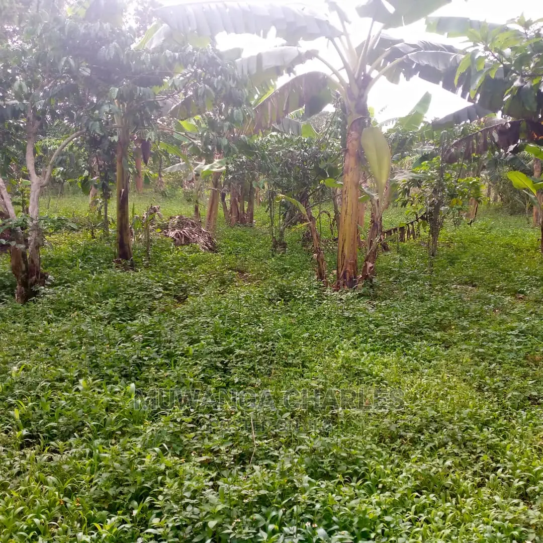 5acres of Land for Sale at Zirobwe Lunyolya