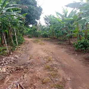 4acres of Land for Sale at Zirobwe Janda