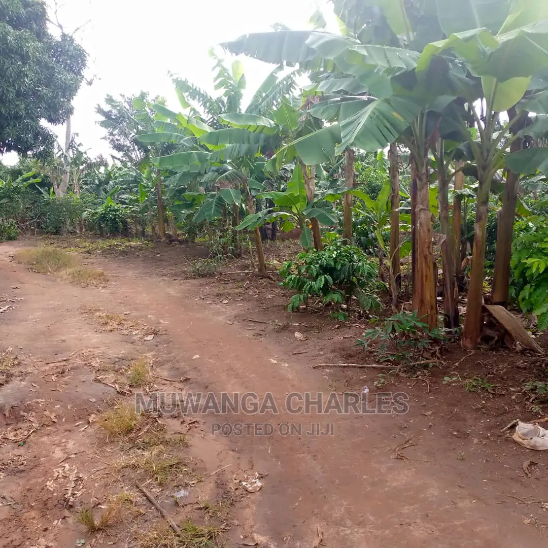 4acres of Land for Sale at Zirobwe Janda